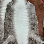 Himalaya Crocodile Leather Travel Bag